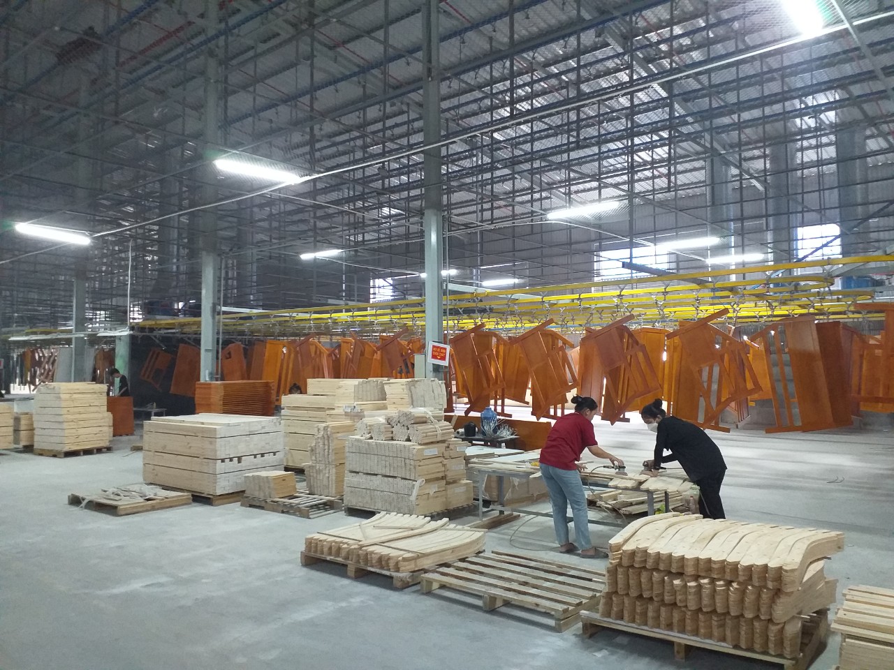 Quy trình ra phôi gỗ thông